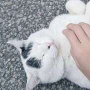 ヒメ日記 2025/12/17 11:33 投稿 いく 那須塩原人妻花壇