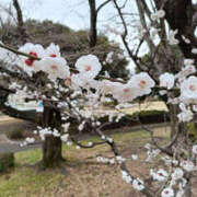 いく もうすぐ卒業🎓🌸 那須塩原人妻花壇