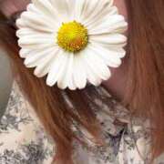 ヒメ日記 2025/07/17 01:13 投稿 かおる 京都ホテヘル倶楽部