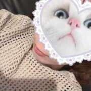 ヒメ日記 2025/07/20 02:09 投稿 かおる 京都ホテヘル倶楽部