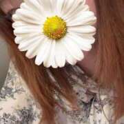 ヒメ日記 2025/08/04 02:16 投稿 かおる 京都ホテヘル倶楽部