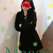 ヒメ日記 2025/04/15 19:01 投稿 真麻-maasa- 京都ホテヘル倶楽部