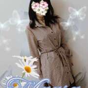 ヒメ日記 2025/06/02 18:58 投稿 真麻-maasa- 京都ホテヘル倶楽部