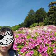 ヒメ日記 2025/05/11 11:51 投稿 かやの 京都ホテヘル倶楽部