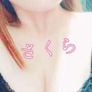 ヒメ日記 2025/01/18 18:22 投稿 サクラ 京都ホテヘル倶楽部