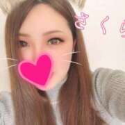 ヒメ日記 2025/02/28 18:09 投稿 サクラ 京都ホテヘル倶楽部