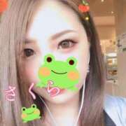 サクラ ふりふり 京都ホテヘル倶楽部