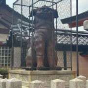 めいこ 連休？ 京都ホテヘル倶楽部