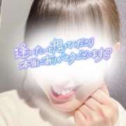 ヒメ日記 2025/01/17 08:03 投稿 あおい 京都ホテヘル倶楽部