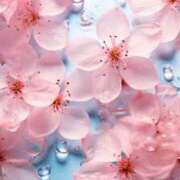 ヒメ日記 2025/04/02 08:11 投稿 あおい 京都ホテヘル倶楽部