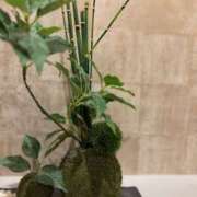 ヒメ日記 2025/06/11 07:49 投稿 あおい 京都ホテヘル倶楽部