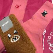 ヒメ日記 2026/01/08 07:40 投稿 あおい 京都ホテヘル倶楽部