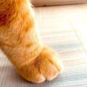 ヒメ日記 2026/01/16 18:55 投稿 あおい 京都ホテヘル倶楽部