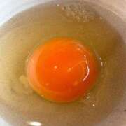 ヒメ日記 2026/02/08 07:50 投稿 あおい 京都ホテヘル倶楽部