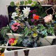 ヒメ日記 2026/02/24 07:37 投稿 あおい 京都ホテヘル倶楽部