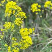 ヒメ日記 2025/03/31 12:24 投稿 けい 人妻倶楽部 内緒の関係 大宮店