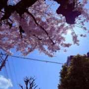 ヒメ日記 2025/04/05 13:14 投稿 けい 人妻倶楽部 内緒の関係 大宮店