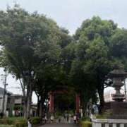 ヒメ日記 2025/10/03 17:04 投稿 けい 人妻倶楽部 内緒の関係 大宮店