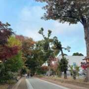 ヒメ日記 2025/11/05 07:44 投稿 けい 人妻倶楽部 内緒の関係 大宮店