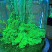 ヒメ日記 2025/12/09 19:04 投稿 けい 人妻倶楽部 内緒の関係 大宮店