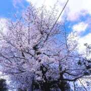 ヒメ日記 2026/03/27 15:54 投稿 けい 人妻倶楽部 内緒の関係 大宮店