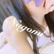 ヒメ日記 2025/04/30 14:27 投稿 なごみ 京都ホテヘル倶楽部