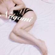 ヒメ日記 2025/05/24 09:31 投稿 なごみ 京都ホテヘル倶楽部