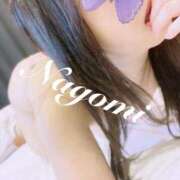 ヒメ日記 2026/03/17 15:15 投稿 なごみ 京都ホテヘル倶楽部