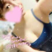 ヒメ日記 2025/03/27 00:11 投稿 のん 京都ホテヘル倶楽部