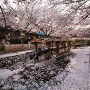 ヒメ日記 2025/04/06 12:03 投稿 さゆり 京都ホテヘル倶楽部