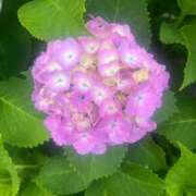 高岡一花(いちか) 雨ですが... 東京不倫～とうきょうふりん～