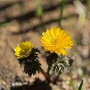 ヒメ日記 2025/02/26 18:35 投稿 けい 人妻倶楽部内緒の関係 春日部店