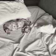 ヒメ日記 2025/08/21 07:45 投稿 けい 人妻倶楽部内緒の関係 春日部店