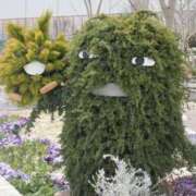 ヒメ日記 2025/09/09 13:05 投稿 けい 人妻倶楽部内緒の関係 春日部店