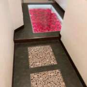 ヒメ日記 2025/12/12 13:55 投稿 けい 人妻倶楽部内緒の関係 春日部店