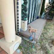 ヒメ日記 2026/03/09 15:55 投稿 けい 人妻倶楽部内緒の関係 春日部店