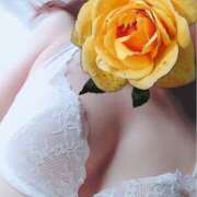 ヒメ日記 2025/02/24 09:25 投稿 リリコ 京都ホテヘル倶楽部