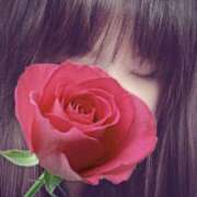 ヒメ日記 2025/05/10 13:43 投稿 リリコ 京都ホテヘル倶楽部