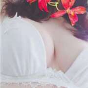 ヒメ日記 2025/07/10 09:27 投稿 リリコ 京都ホテヘル倶楽部