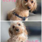 ヒメ日記 2025/03/05 18:37 投稿 サヨ 京都ホテヘル倶楽部