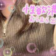 ヒメ日記 2025/12/05 16:30 投稿 いず 京都ホテヘル倶楽部