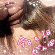 ヒメ日記 2026/01/23 12:29 投稿 いず 京都ホテヘル倶楽部