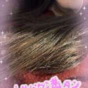 ヒメ日記 2026/03/14 12:22 投稿 いず 京都ホテヘル倶楽部