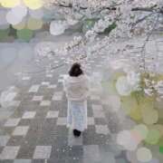 ヒメ日記 2025/04/05 20:57 投稿 まお 京都ホテヘル倶楽部