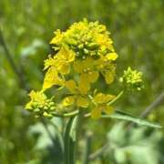 ヒメ日記 2025/04/16 18:02 投稿 まお 京都ホテヘル倶楽部