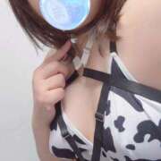 ヒメ日記 2025/12/06 20:22 投稿 まお 京都ホテヘル倶楽部