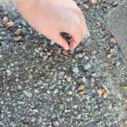 ヒメ日記 2024/12/15 12:44 投稿 けい 人妻倶楽部 内緒の関係 川越店