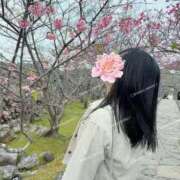 ヒメ日記 2025/09/21 08:14 投稿 けい 人妻倶楽部 内緒の関係 川越店