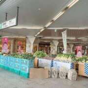 ヒメ日記 2025/11/04 13:44 投稿 けい 人妻倶楽部 内緒の関係 川越店