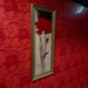 ヒメ日記 2025/12/29 13:54 投稿 けい 人妻倶楽部 内緒の関係 川越店